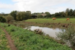83.-Downstream-from-M5-River-Tone-Bridge