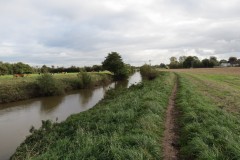 84.-Downstream-from-M5-River-Tone-Bridge