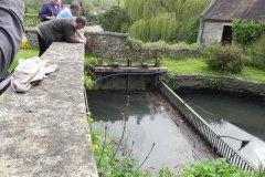 5.-Gants-Mill-Mill-Stream-Trashrack