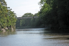 IMG_1352_edited