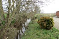 12.-Mill-stream-rejoins-the-River-Parrett