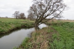 2.-Gawbridge-Mill-Mill-stream-4