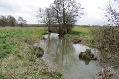 2.-Gawbridge-Mill-Mill-stream-8