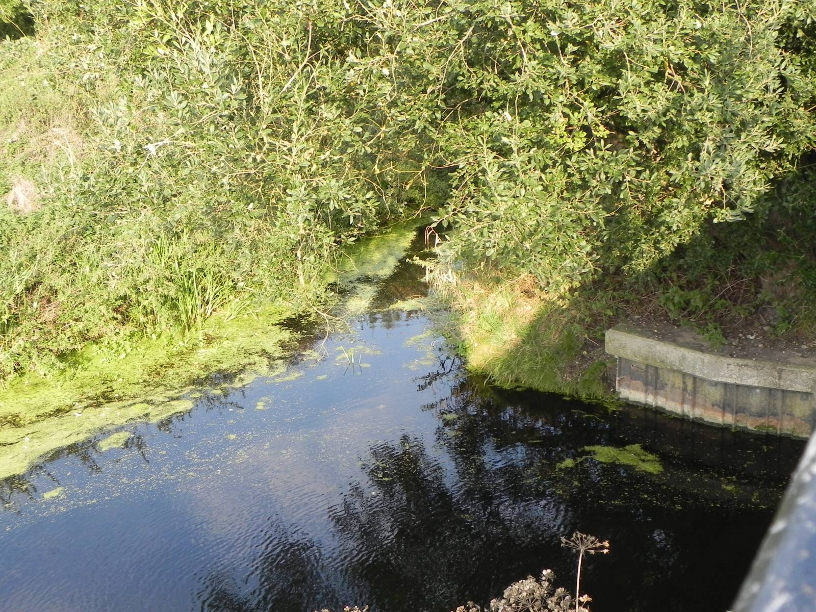 1.-Glastonbury-Canal-joins-South-Drain-at-Ashcott-Bridge