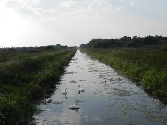 28.-South-Drain-Looking-downstream-from-Mere-Heath-Bridge