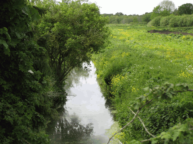 3.-Near-Shapwick-Corner