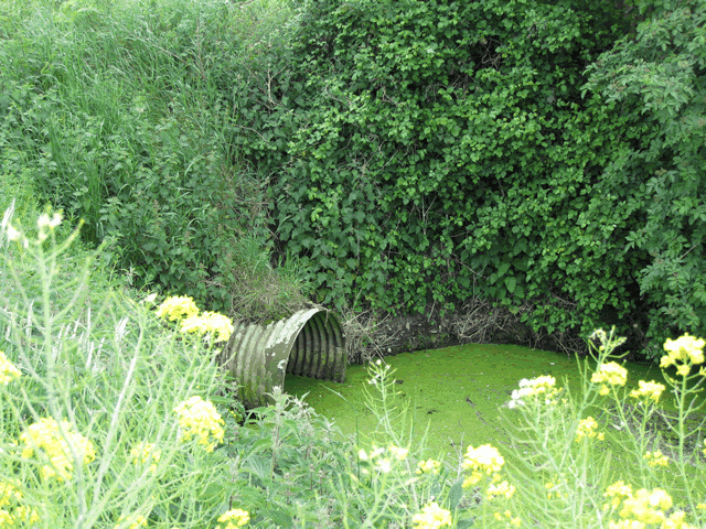5.-Culvert-Shapwick-Corner