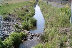 21.-Looking-Upstream-from-Beckery-Bridge