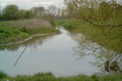 Glastonbury Mill Stream