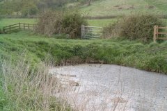 2.-Mill-Stream-start-at-Clyce-Hole-River-Brue
