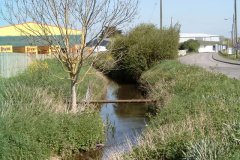30.-Looking-upstream-near-Timber-Yard