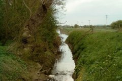 72.-Looking-Downstream-from-Coldharbour-Farm-Bridge