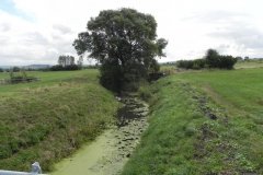 3.Looking-Upstream-from-Upper-Crannel-Farm-Bridge