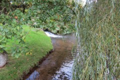 13.-Looking-upstream-to-Mill-Sluice
