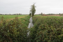 18.-Looking-downstream-from-ROW-Bridge-No.1474
