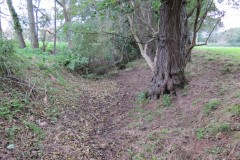 7.-Return-leat-from-Mill-Stream-to-Cannington-Brook