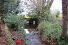 5.-Downstream-from-Ashford-Reservoir-outflow-bridge-1