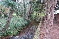 5.-Downstream-from-Ashford-Reservoir-outflow-bridge-3
