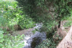 5.-Downstream-from-Ashford-Reservoir-outflow-bridge-4