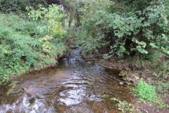 5.-Downstream-from-Ashford-Reservoir-outflow-bridge-5