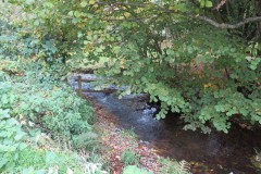 5.-Downstream-from-Ashford-Reservoir-outflow-bridge-6