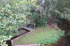 6.-Ashford-Waterworks-Education-centre-grounds-3