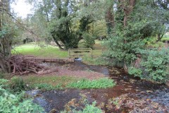 6.-Ashford-Waterworks-Education-centre-grounds-7