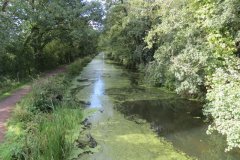 16.-Looking-downstream-from-Westcott-Bridge