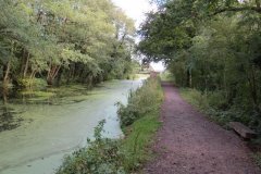 18.-Canal-between-Westcott-Bridge-and-Ayshford-Bridge-2