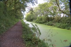 18.-Canal-between-Westcott-Bridge-and-Ayshford-Bridge-3