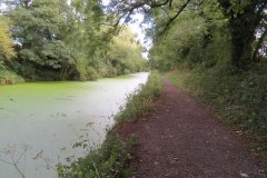 18.-Canal-between-Westcott-Bridge-and-Ayshford-Bridge-5