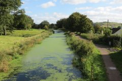 25.-Looking-upstream-from-Ayshford-Bridge
