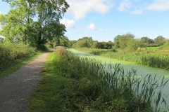 28.-Canal-between-Ayshford-Bridge-and-Holbrook-Bridge-1