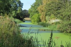 29.-Approaching-Holbrook-Bridge