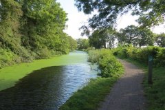 32.-Looking-upstream-from-Holbrook-Bridge