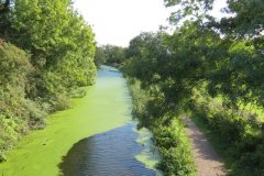 34.-Looking-upstream-from-Holbrook-Bridge
