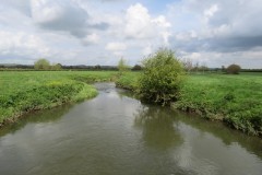 1.-Looking-downstream-from-Bradon-Bridge