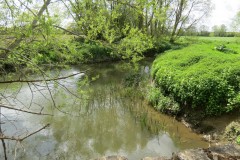 1.-Looking-upstream-from-Bradon-Bridge