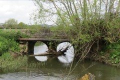 4.-Bradon-Bridge-upstream-arches-1