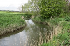 5.-Upstream-from-Bradon-Bridge-1