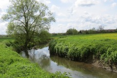 5.-Upstream-from-Bradon-Bridge-4