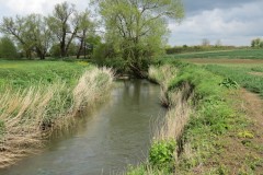 6.-Downstream-from-Ashford-Farm-1