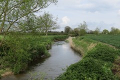 6.-Downstream-from-Ashford-Farm-2