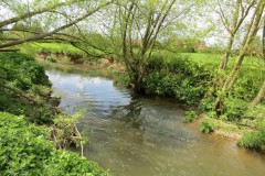 6.-Downstream-from-Ashford-Farm-3