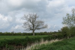 6.-Downstream-from-Ashford-Farm-4