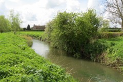 6.-Downstream-from-Ashford-Farm-5
