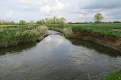 6.-Downstream-from-Ashford-Farm-6