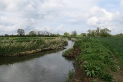 6.-Downstream-from-Ashford-Farm-8