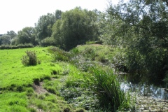 18.-Downstream-from-Somerton-Fishponds-Footbridge