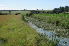 19.-Downstream-from-Somerton-Fishponds-Footbridge-1